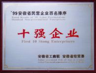 1999安徽省民营企业百名排序十强企业