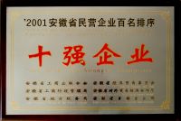 2001年度安徽省名营企业百名排序十强企业