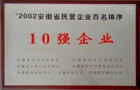 2002年安徽省民营企业百名排序10强企业