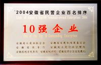 2004安徽省民营企业百名排序10强企业