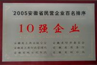 2005年度安徽省民营企业百名排序十强企业
