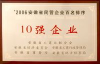 2006年度安徽省民营企业百名排序10强企业