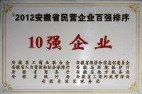 2012年度安徽省民营企业百名排序10强企业